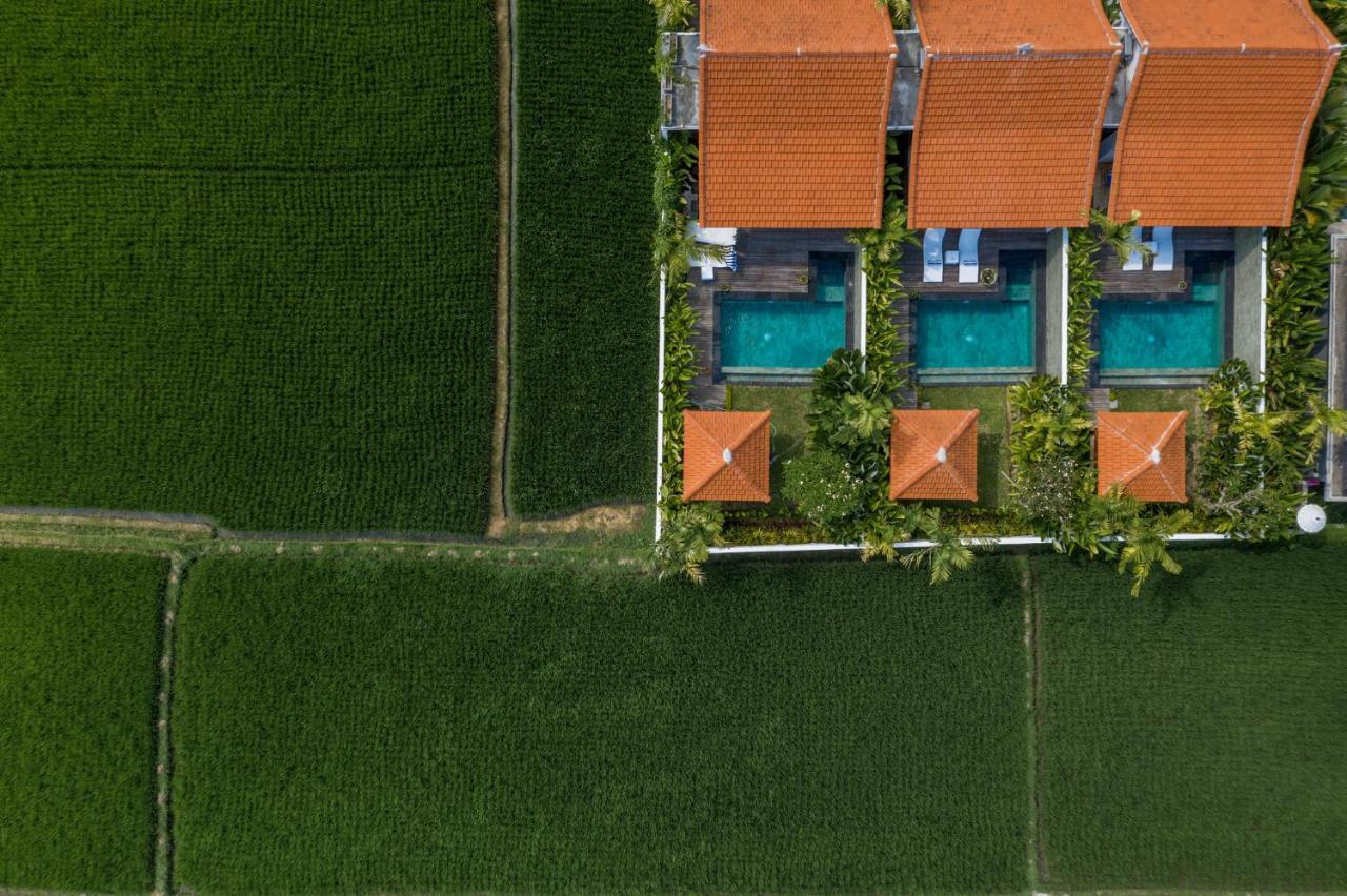 Sawah Pousada